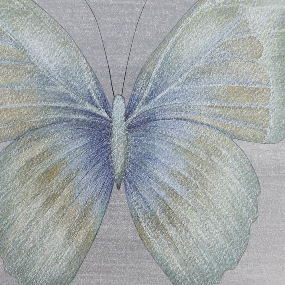 Aqua Butterfly Framed Print